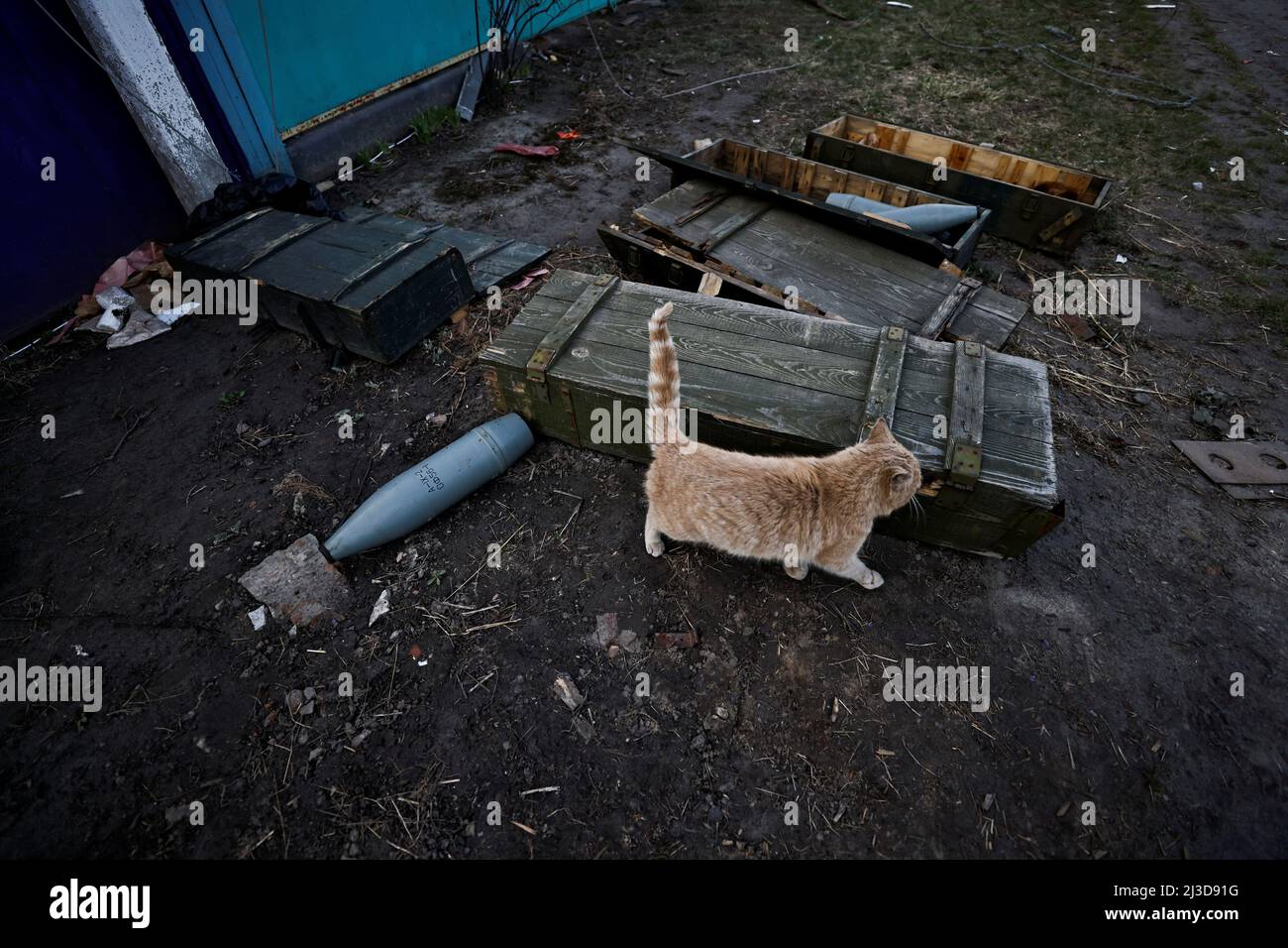 Un gatto passa attraverso le scatole che contengono proyectiles russo, in mezzo l'invasione russa dell'Ucraina in Andriivka, regione di Kyiv, Ucraina 7 aprile 2022. REUTERS/Zohra Bensetra Foto Stock
