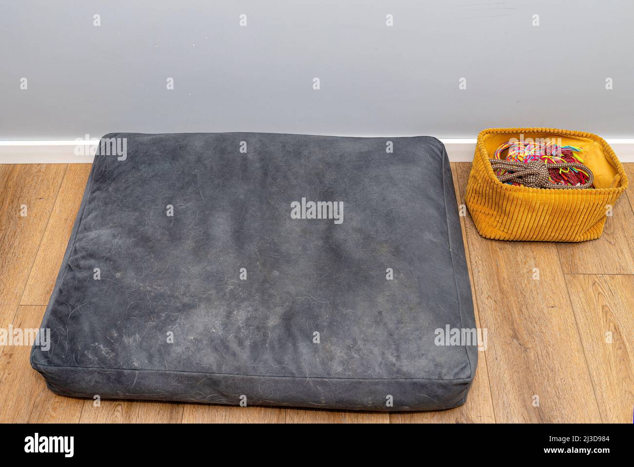 Letto per cani coperto di pelliccia, adagiato su pannelli in vinile nel soggiorno, accanto ad un contenitore con giocattoli per il cane. Foto Stock