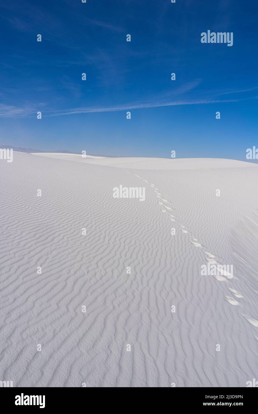 Le dune di gesso bianche nel parco nazionale di White Sands nel New Mexico si erigono contro un grande cielo blu in una giornata di sole Foto Stock