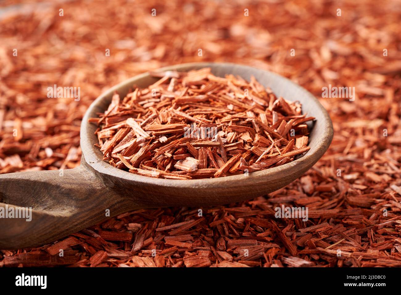 Trucioli di legno di sandalo rosso su un cucchiaio - ingrediente per  profumi e aromaterapia Foto stock - Alamy