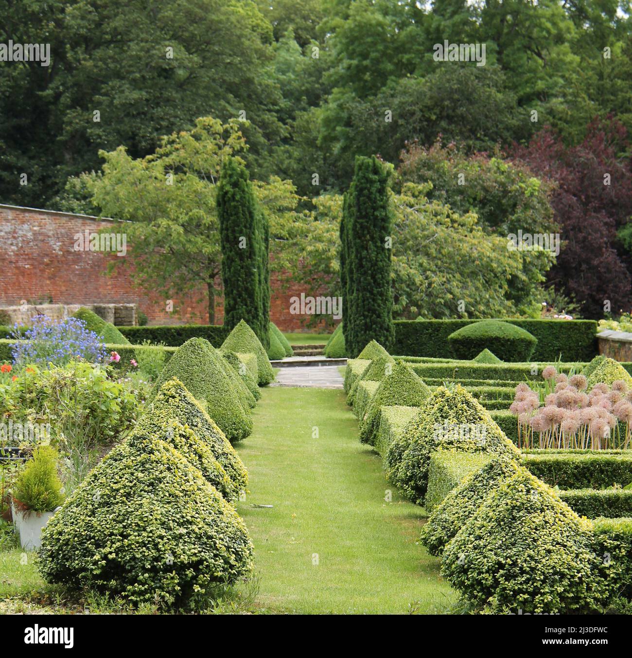 Alcuni bordi Topiary a taglio basso in un giardino formale. Foto Stock