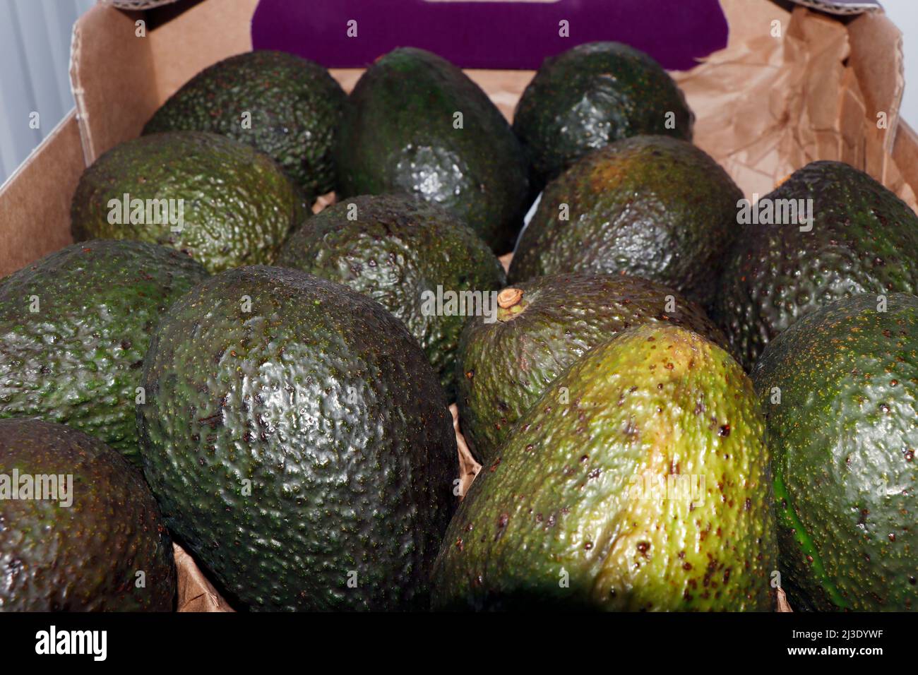 avocado messicano fresco maturo in una scatola Foto Stock