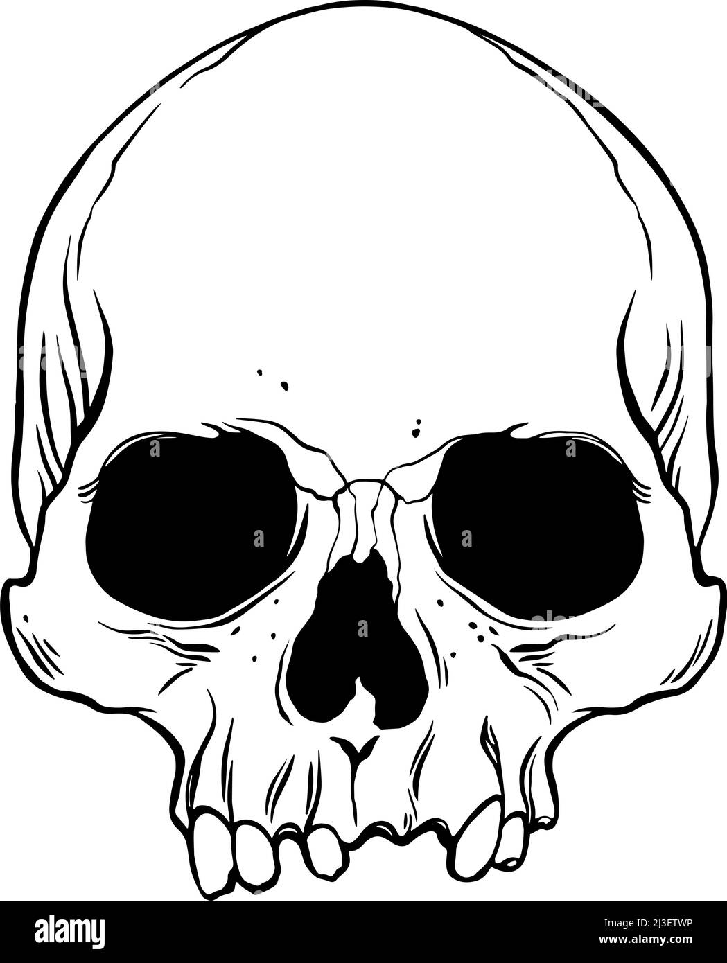 Cranio umano anatomico. Illustrazione disegnata a mano con vettore Illustrazione Vettoriale