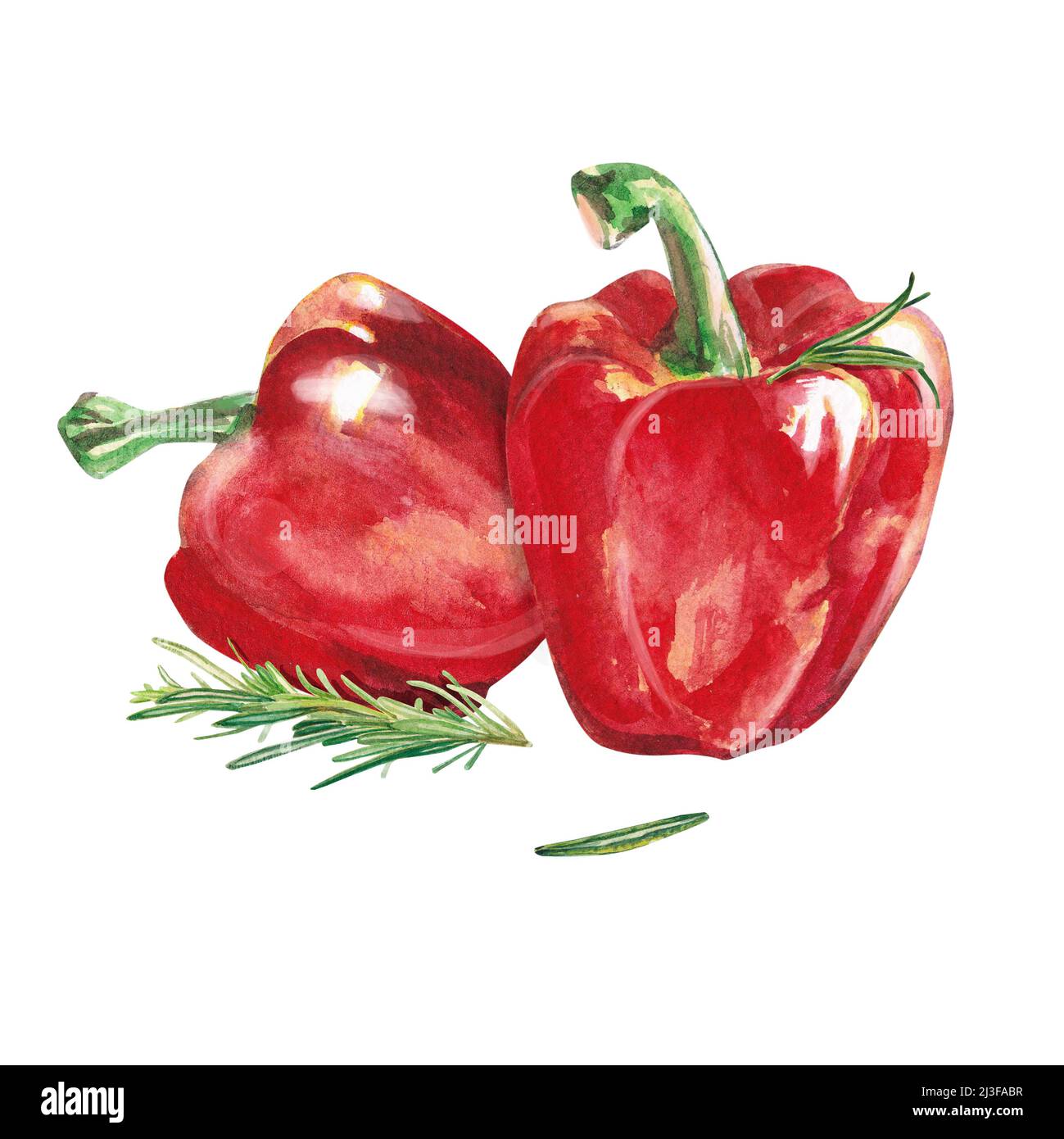 Acquerello vegetali. Due peperoni rossi e rosmarino. Pepe dolce. Illustrazione dell'acquerello su sfondo bianco. Pepe rosso fresco estratto a mano Foto Stock