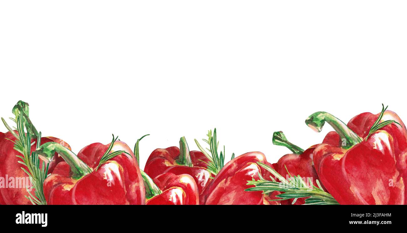 Acquerello vegetali. Striscione con pepe rosso e rosmarino. Pepe dolce. Illustrazione dell'acquerello su sfondo bianco. Estratto a mano isolato rosso fresco Foto Stock