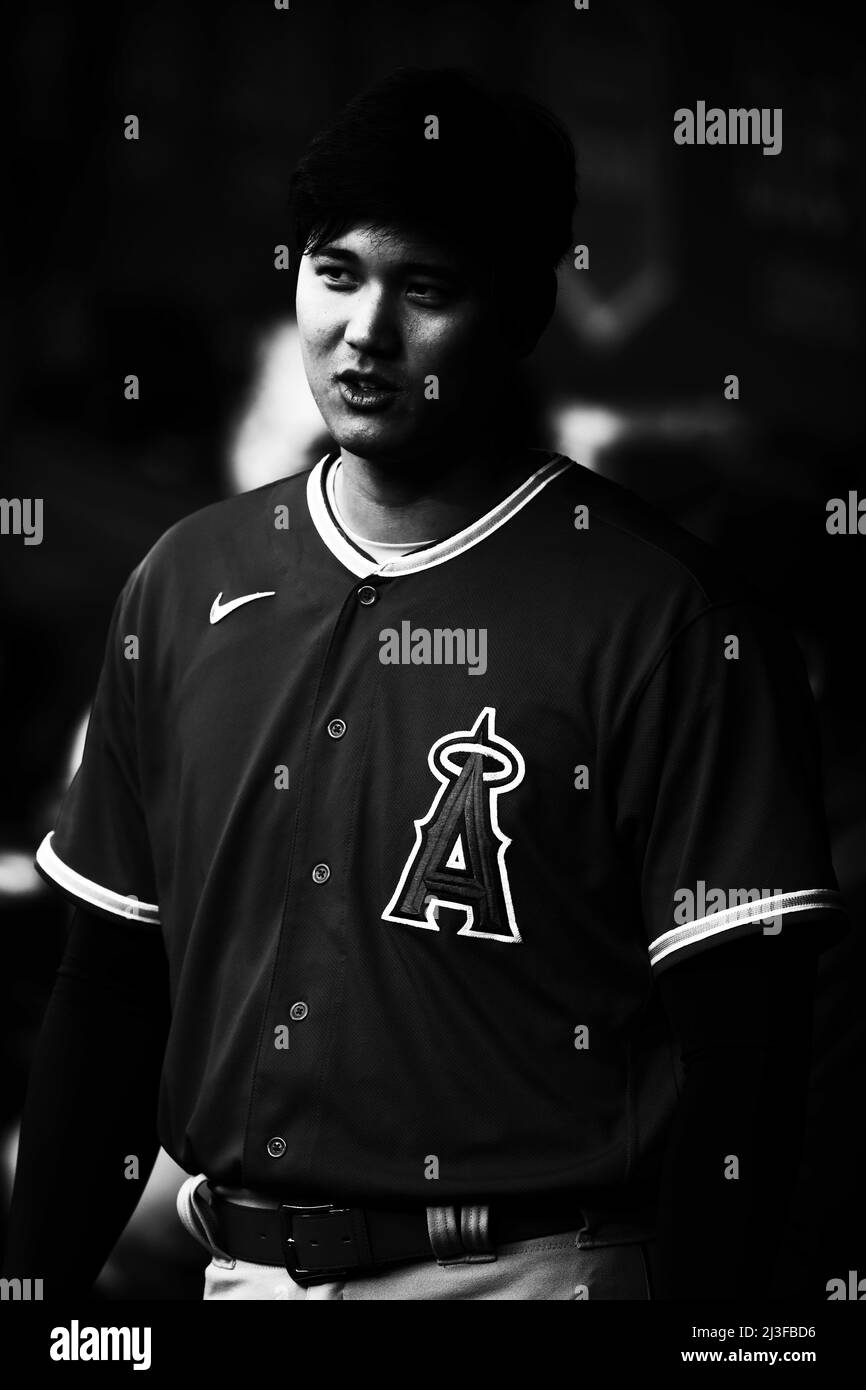 I Los Angeles Angels Shohei Ohtani (17) guardano dal dugout durante un allenamento primaverile di baseball della MLB contro i Los Angeles Dodgers, martedì 4 aprile 2022, a Los Angeles. I Dodgers sconfissero gli Angels per 5-0. (Kevin Terrell/immagine dello sport) Foto Stock I Los Angeles Angels Shohei Ohtani (17) guardano dal dugout durante un allenamento primaverile di baseball della MLB contro i Los Angeles Dodgers, martedì 4 aprile 2022, a Los Angeles. I Dodgers sconfissero gli Angels per 5-0. (Kevin Terrell/immagine dello sport) Foto Stock