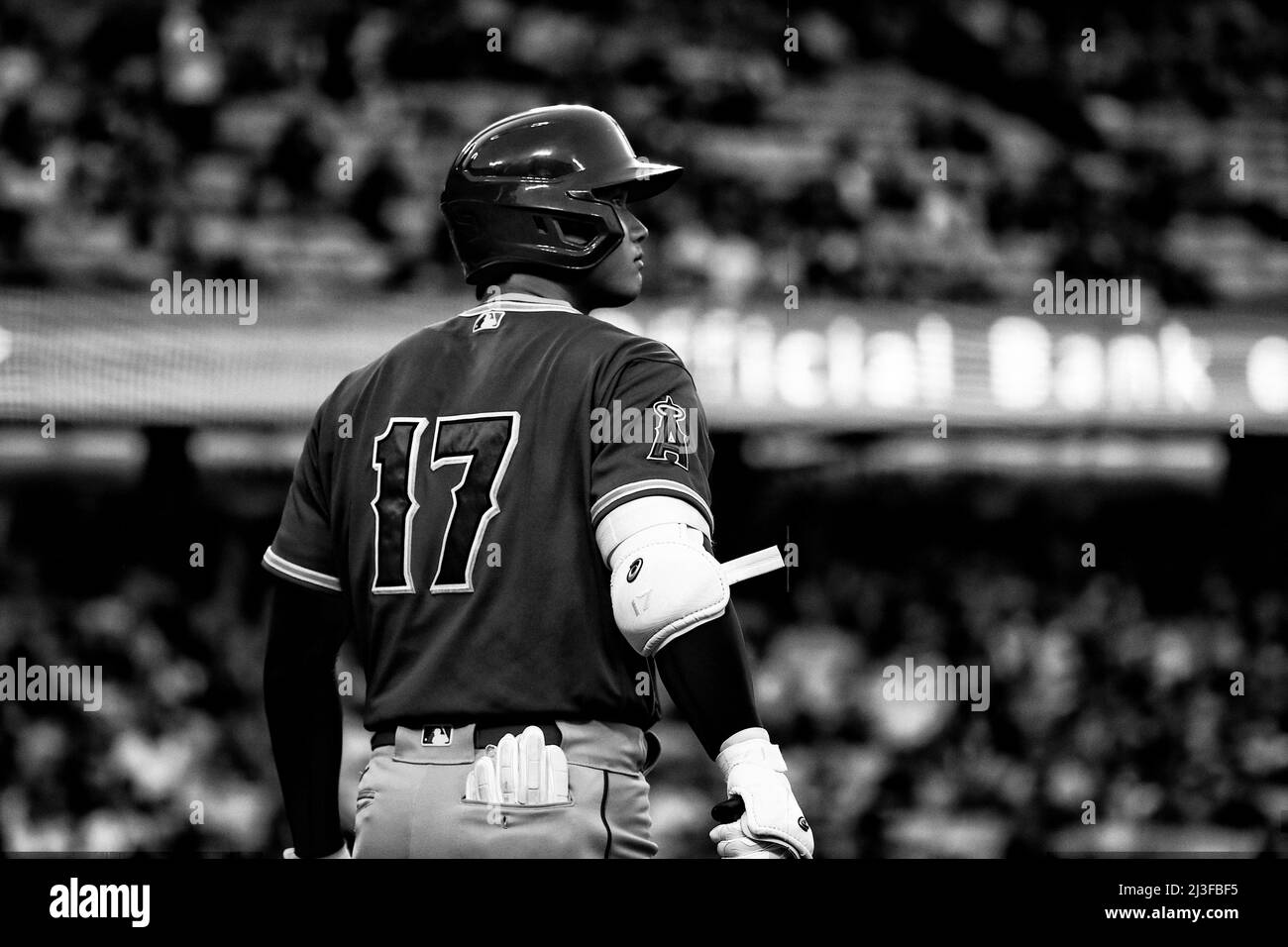 I Los Angeles Angels Shohei Ohtani (17) aspettano sul cerchio del ponte durante una partita di baseball primaverile della MLB contro i Los Angeles Dodgers, martedì 4 aprile 2022, a Los Angeles. I Dodgers sconfissero gli Angels per 5-0. (Kevin Terrell/immagine dello sport) Foto Stock I Los Angeles Angels Shohei Ohtani (17) aspettano sul cerchio del ponte durante una partita di baseball primaverile della MLB contro i Los Angeles Dodgers, martedì 4 aprile 2022, a Los Angeles. I Dodgers sconfissero gli Angels per 5-0. (Kevin Terrell/immagine dello sport) Foto Stock