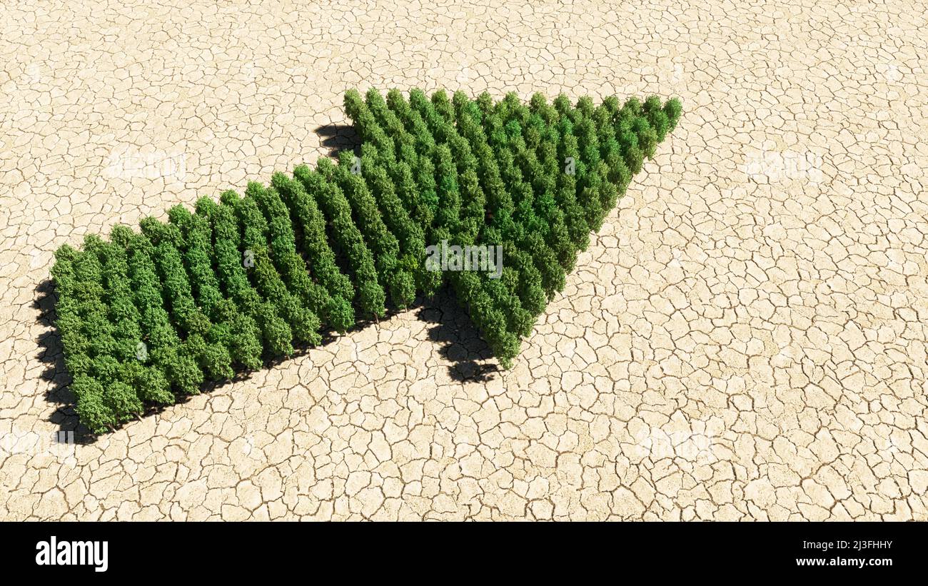 Concetto o gruppo concettuale di foresta verde albero su fondo asciutto terreno, segnaletica stradale. metafora dell'illustrazione 3d per navigazione, strategia, viaggio Foto Stock