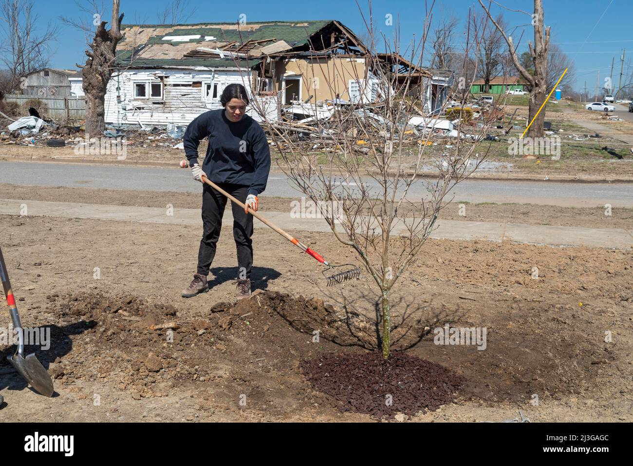 Mayfield, Kentucky - studenti in pausa primaverile dalla Asbury University Plant Trees in Anderson Park. Gli alberi esistenti del parco sono stati distrutti nel dicembre Foto Stock