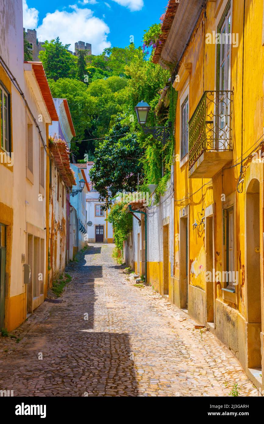 Strada stretta nel centro storico di Tomar in Portogallo. Foto Stock