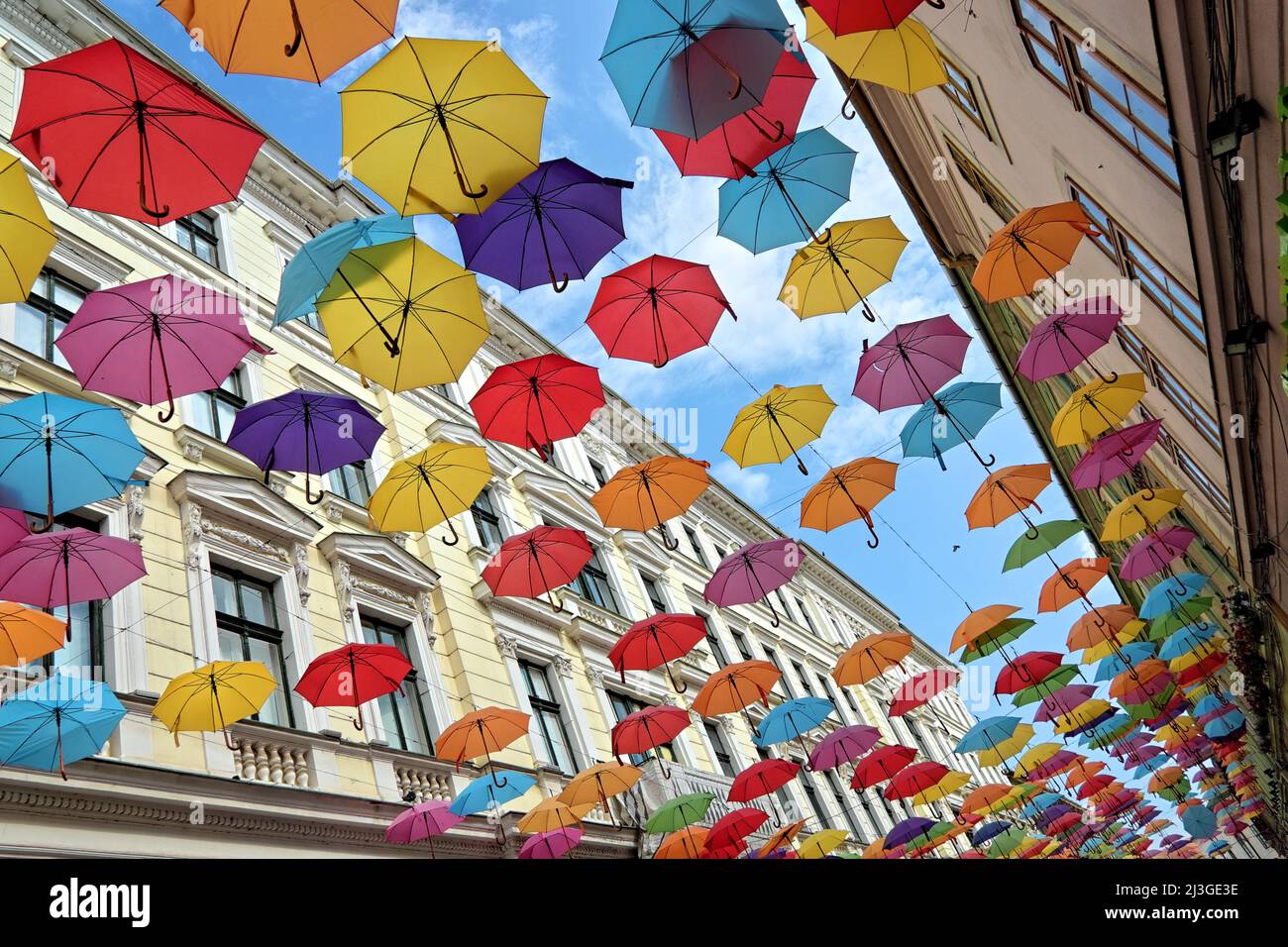 Installazione di ombrelloni colorati in via Timisoara, Romania Foto Stock