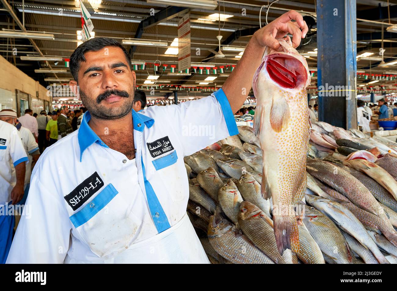 Dubai. EMIRATI ARABI UNITI. Il mercato del pesce Foto Stock