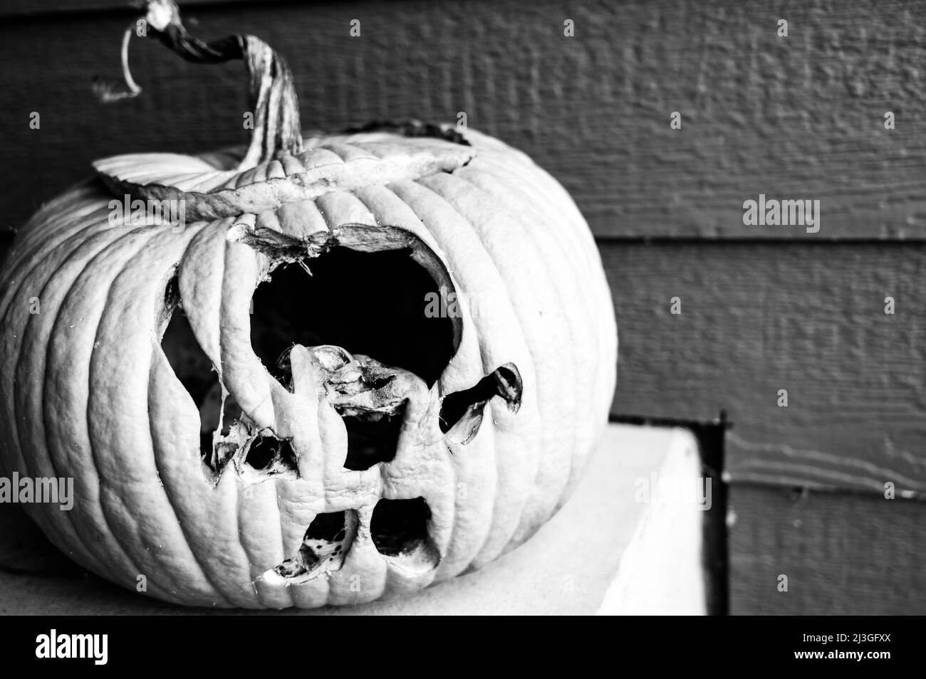 Zucca vecchia ammuffita dopo essere stata lasciata fuori nella notte fredda di Halloween. Foto Stock