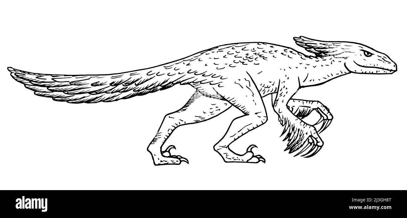 Illustrazione del vettore di dinosauro Pyroraptor. Illustrazione Vettoriale