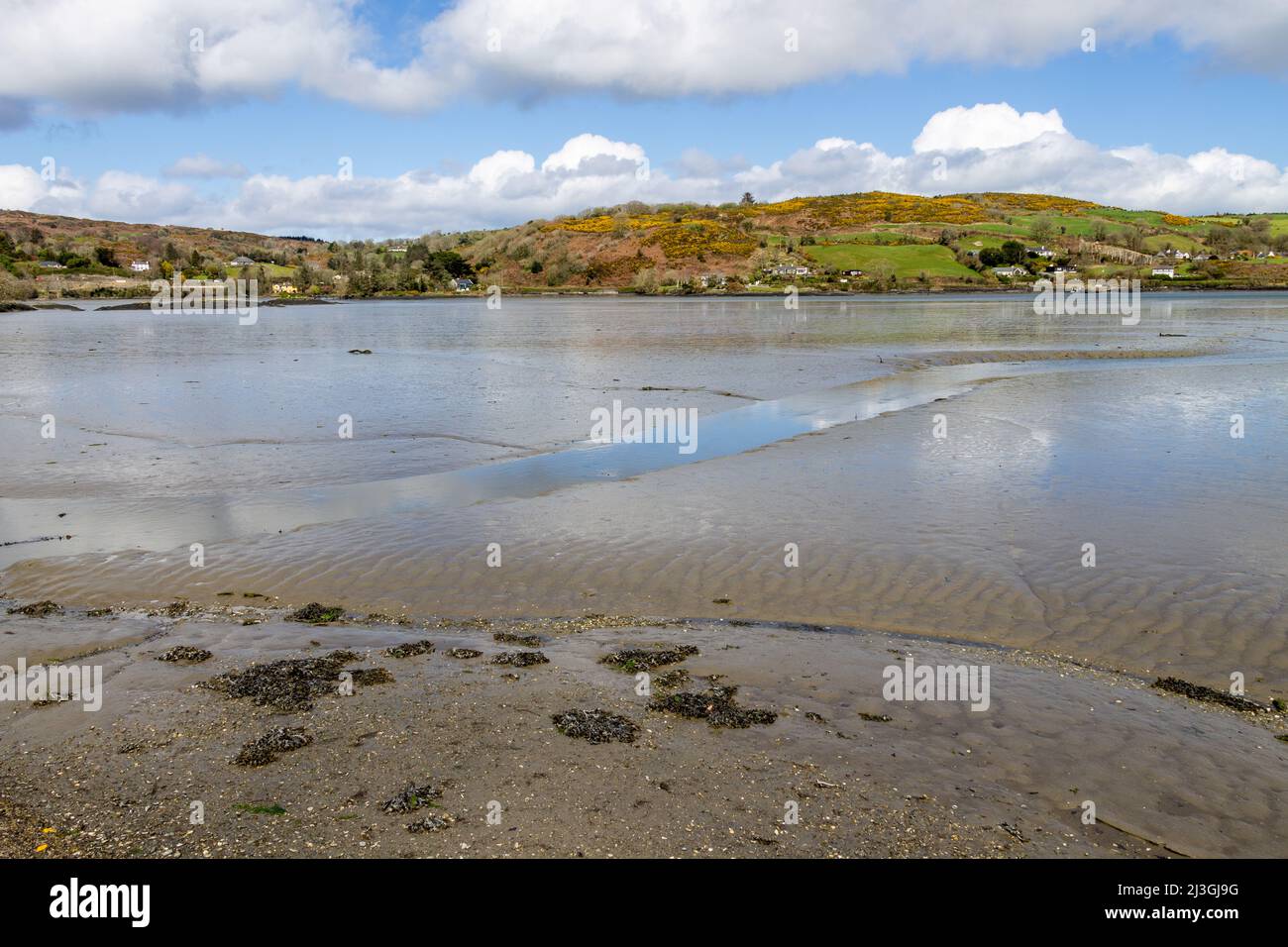 Mud Flats Leap Estuary West Cork Irlanda a bassa marea Foto Stock
