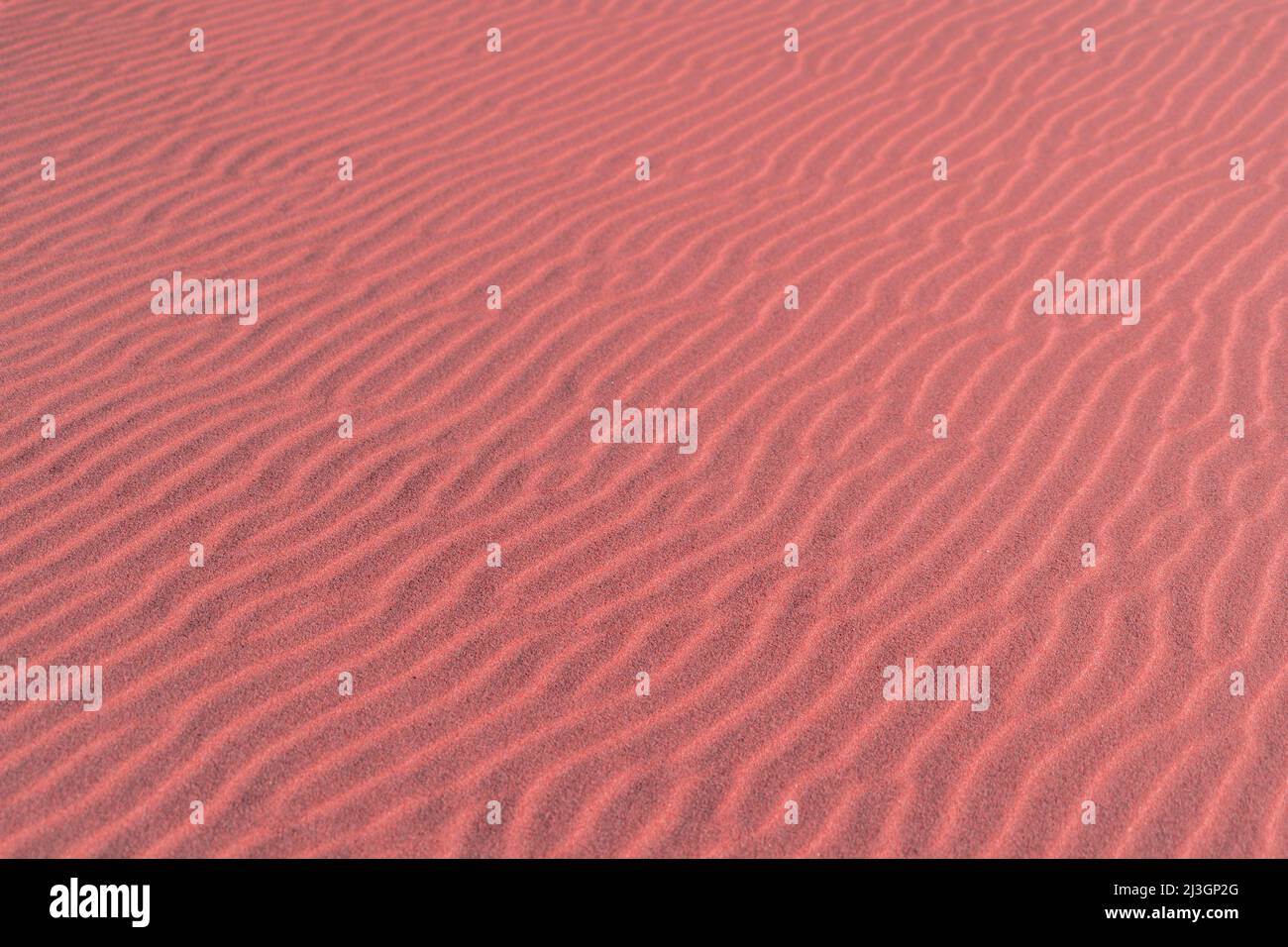 Paesaggio sul pianeta Marte, dune di sabbia scenografica scena del deserto su terra rossa pianeta. Vero e proprio sfondo fantascienza astratto texture Foto Stock