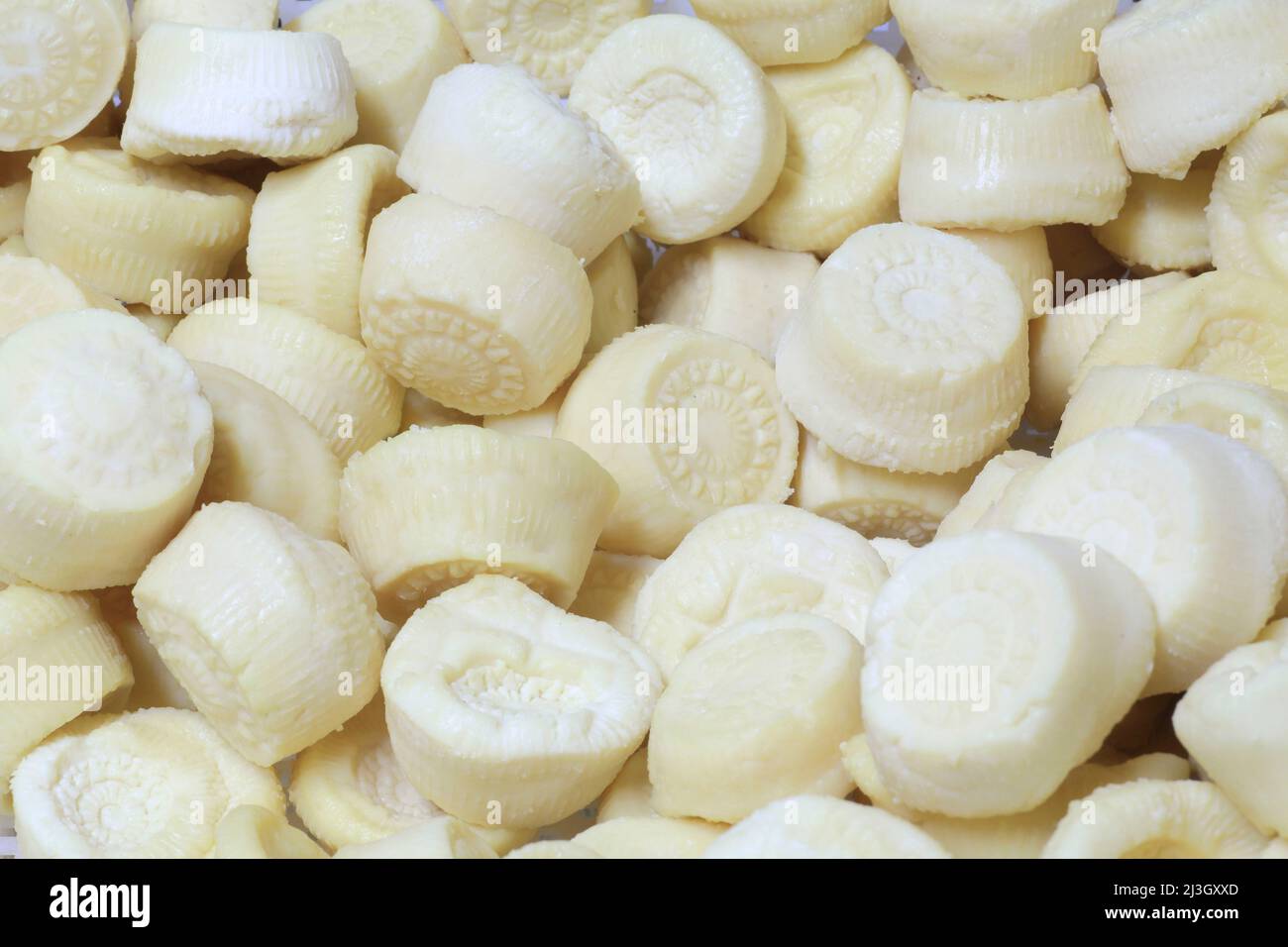 Malta, Haz-Zebbug, azienda agricola tal Karmnu, produzione di gbejna (formaggio di pecora locale) Foto Stock