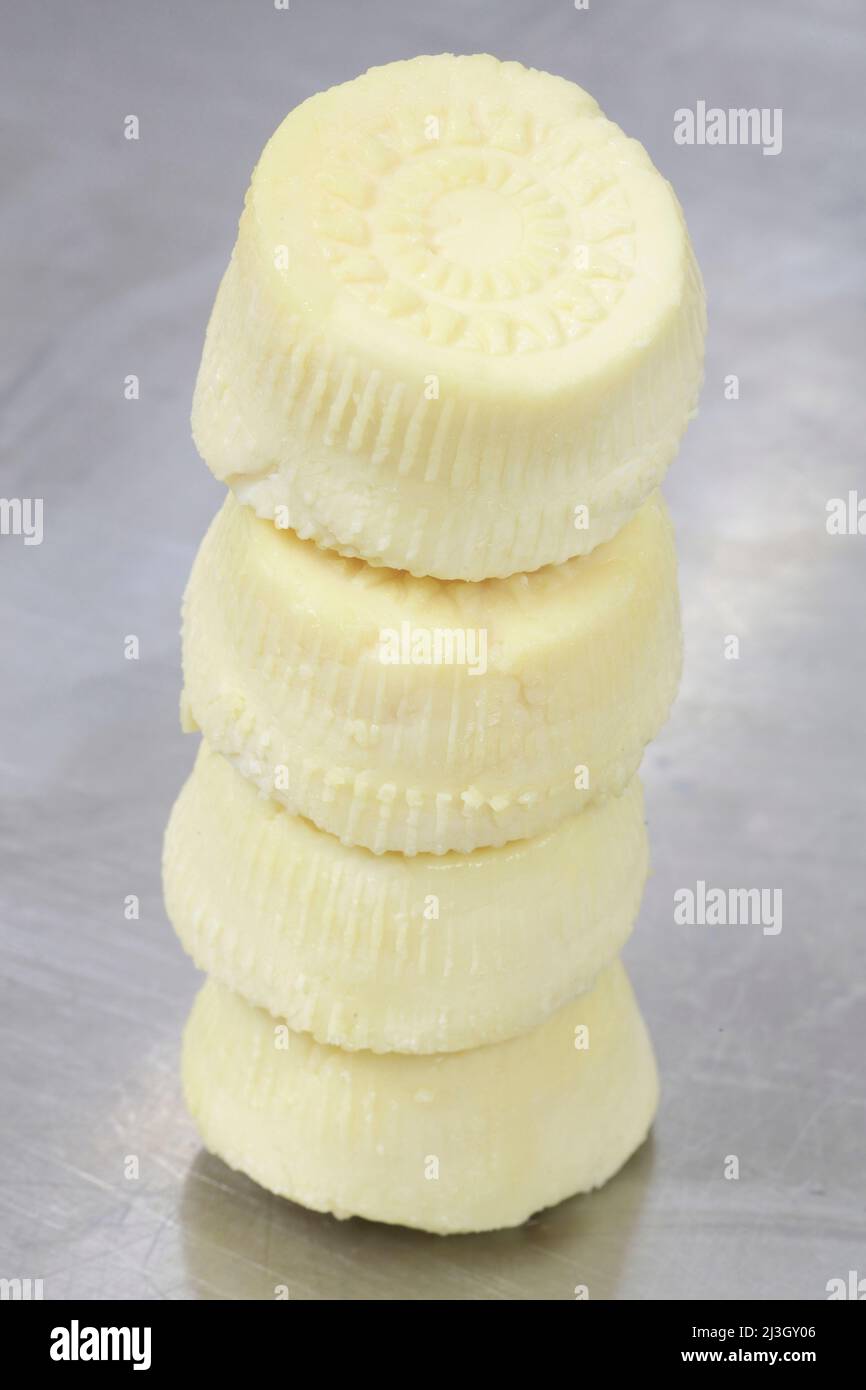 Malta, Haz-Zebbug, fattoria tal Karmnu, gbejna (formaggio di pecora locale) Foto Stock