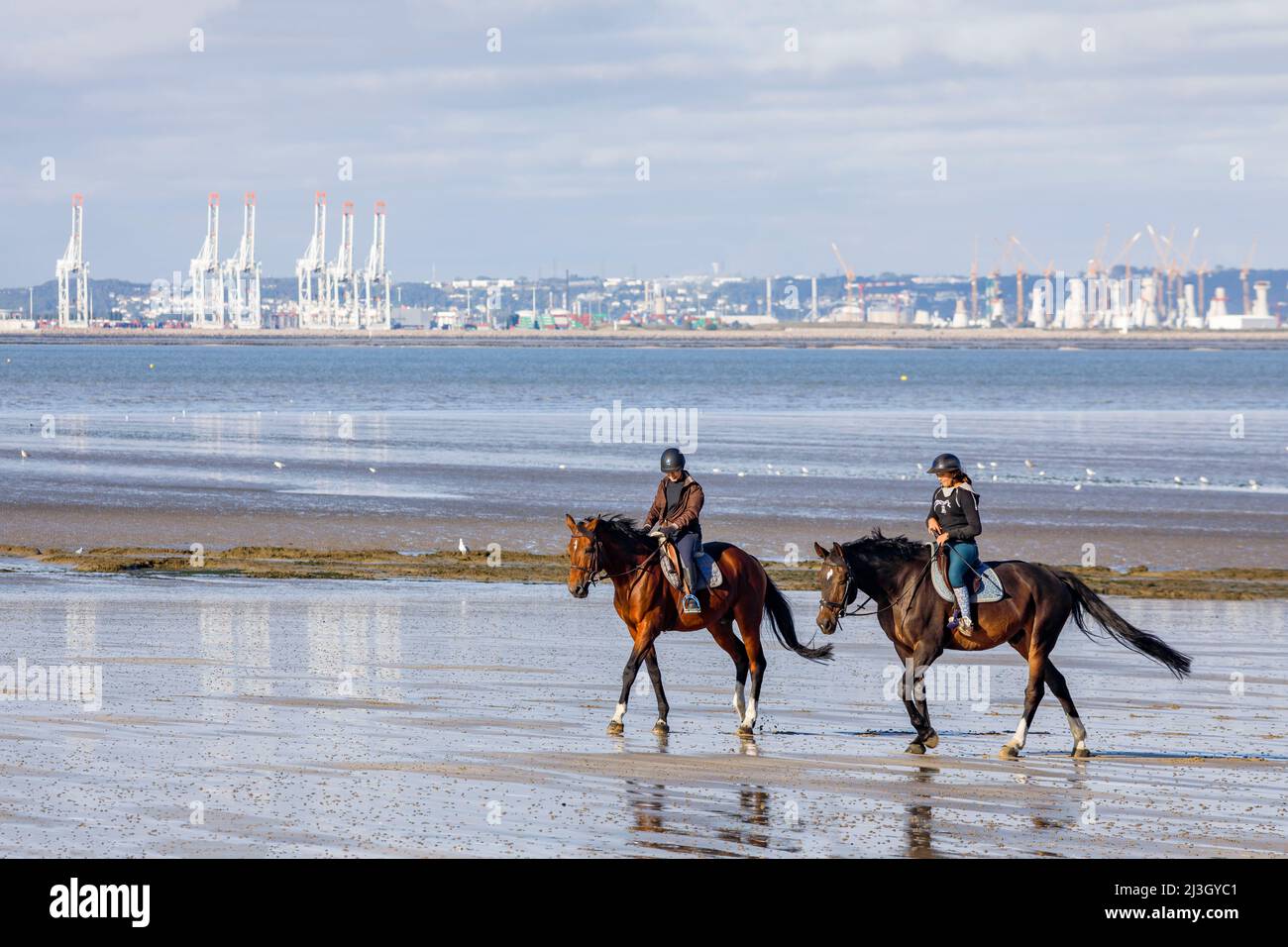 Francia, Calvados (14), Cricqueboeuf, nei pressi di Villerville, equitazione sulla spiaggia di sabbia, in bassa marea, con una vista di le Havre e la Pointe de Caux Foto Stock