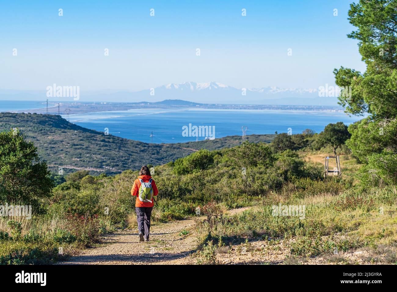 Francia, Herault, Gigean, escursione nel massiccio di Gardiole, vista sul Etang de Thau e i Pirenei innevati in lontananza Foto Stock