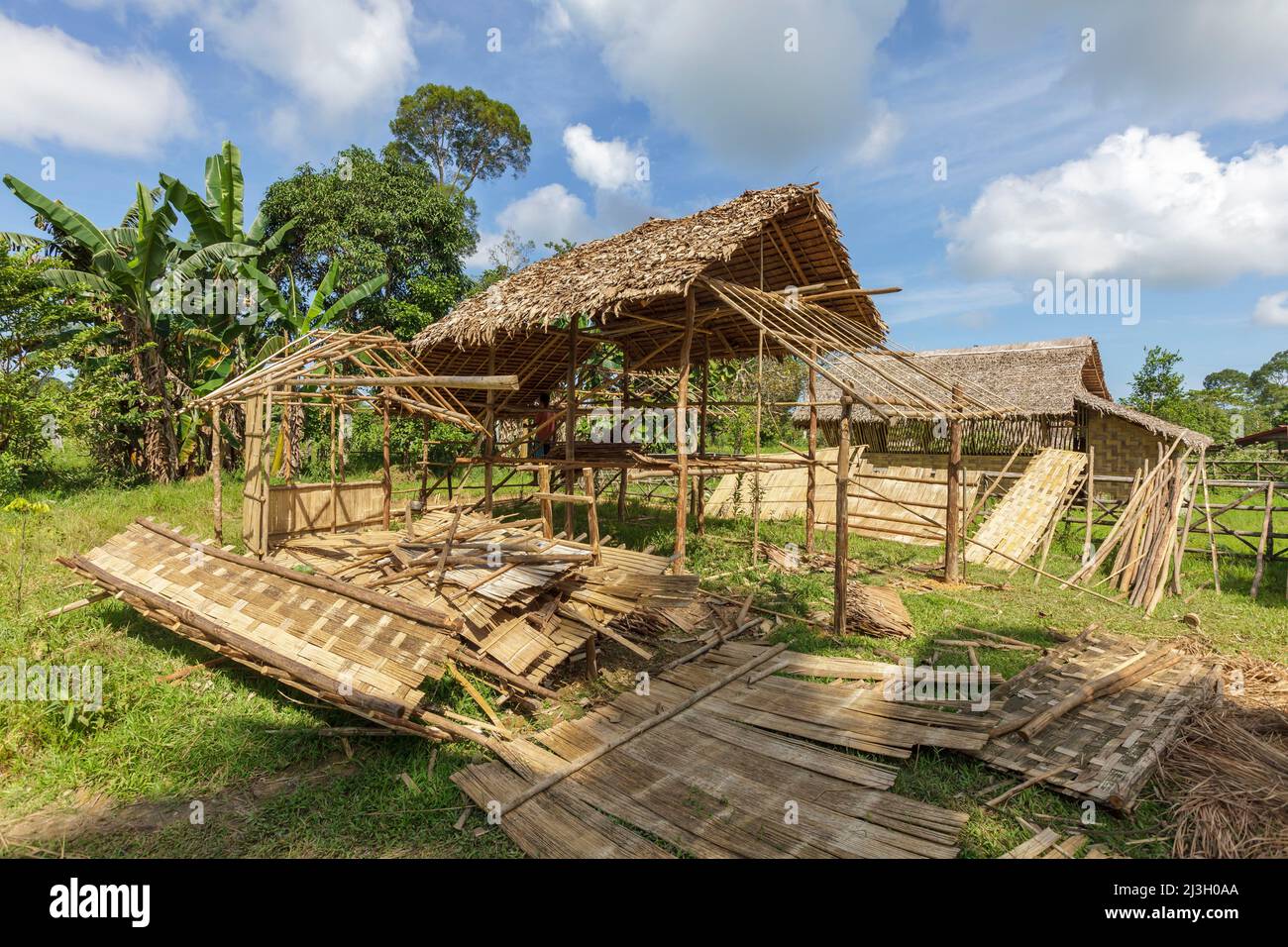 Filippine, Palawan, Rizal, Valle di Singnapan, villaggio di Ransang, Punto di partenza del trekking per incontrare il popolo Tau't Batu, costruzione di una casa tradizionale Foto Stock