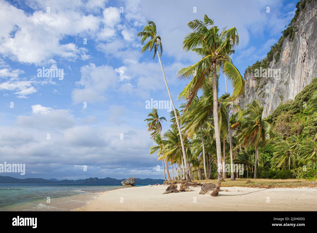 Filippine, Palawan, El Nido, Arcipelago Bacuit, Isola di Pinagbuyutan, calda luce del mattino su palme da cocco e scogliere della spiaggia di sabbia bianca Foto Stock