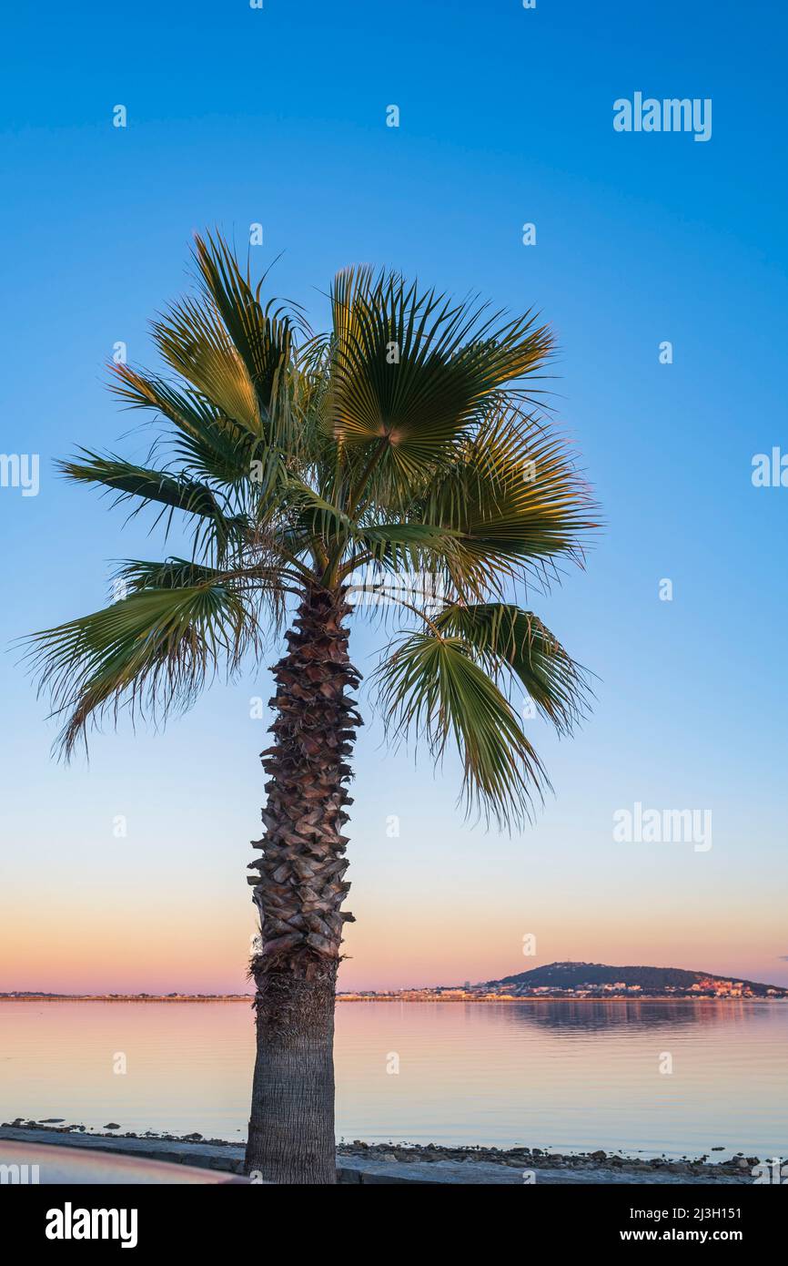 Francia, Herault, Meze, villaggio sulle rive del Etang de Thau, Sete sullo sfondo Foto Stock