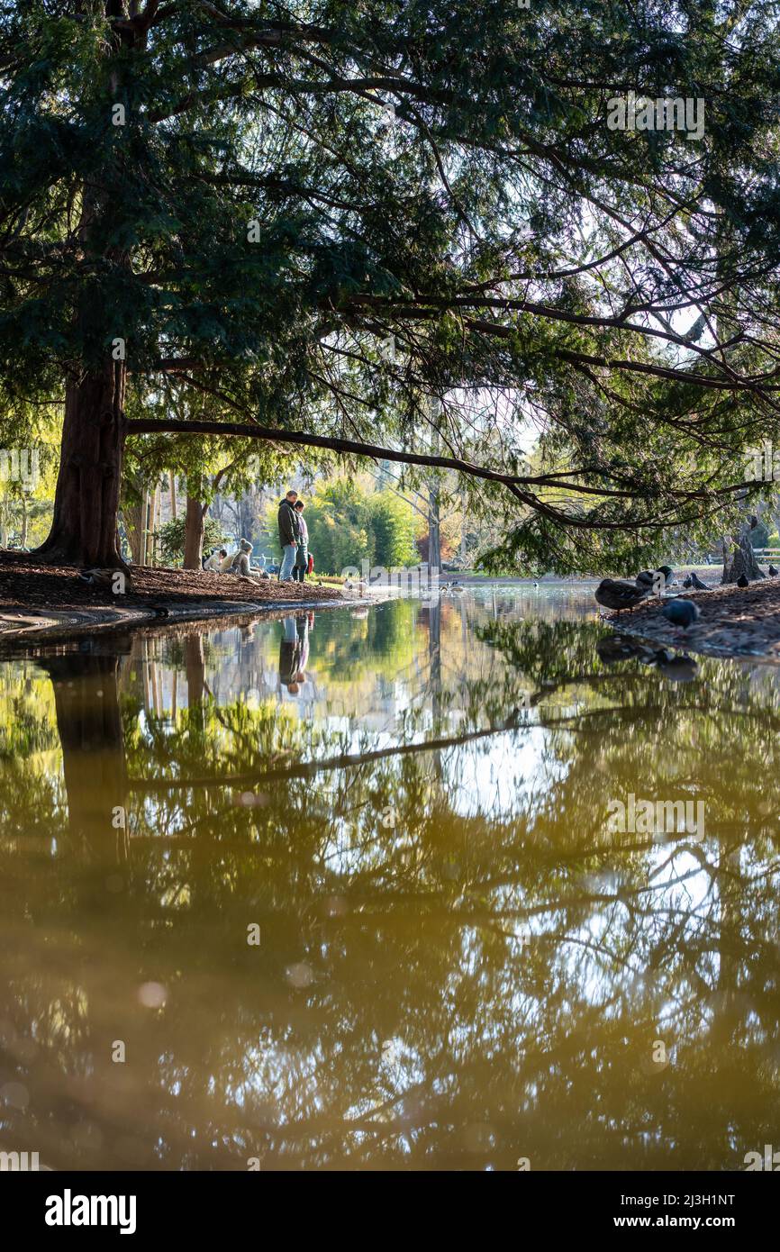 dalla natura austriaca. Foto Stock