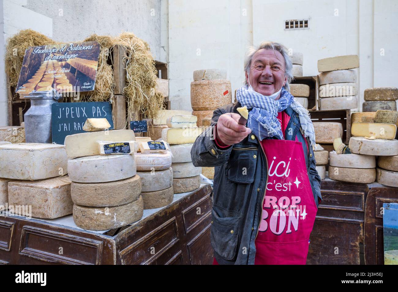 Francia, Indre et Loire, Loches, sul mercato, venditore di formaggi Foto Stock