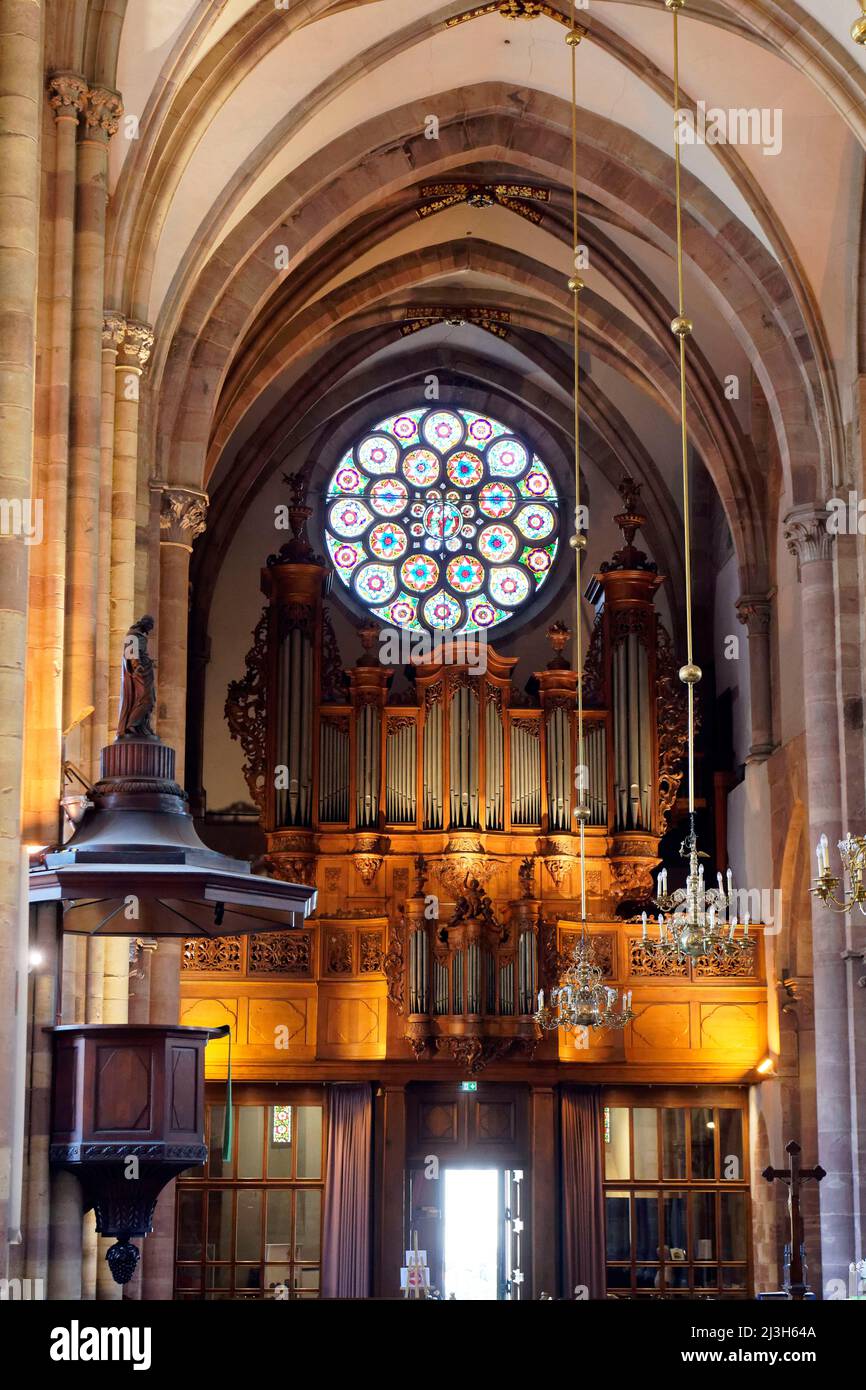 Francia, Bas Rhin, Strasburgo, città vecchia dichiarata Patrimonio  dell'Umanità dall'UNESCO, chiesa di San Tommaso,