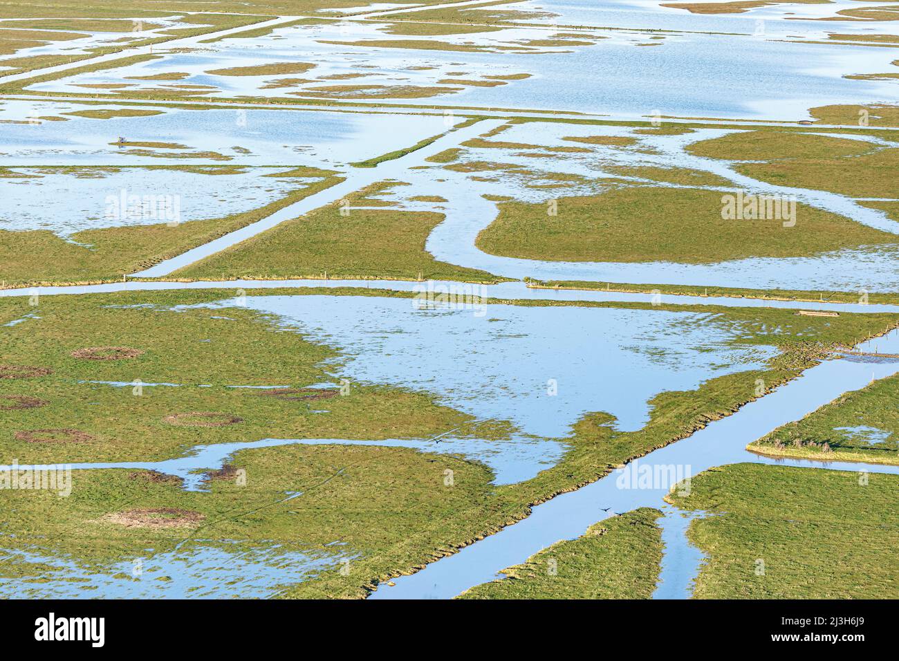 Francia, Vendee, Grues, Marais Poitevin, canali e prati allagati (vista aerea) Foto Stock