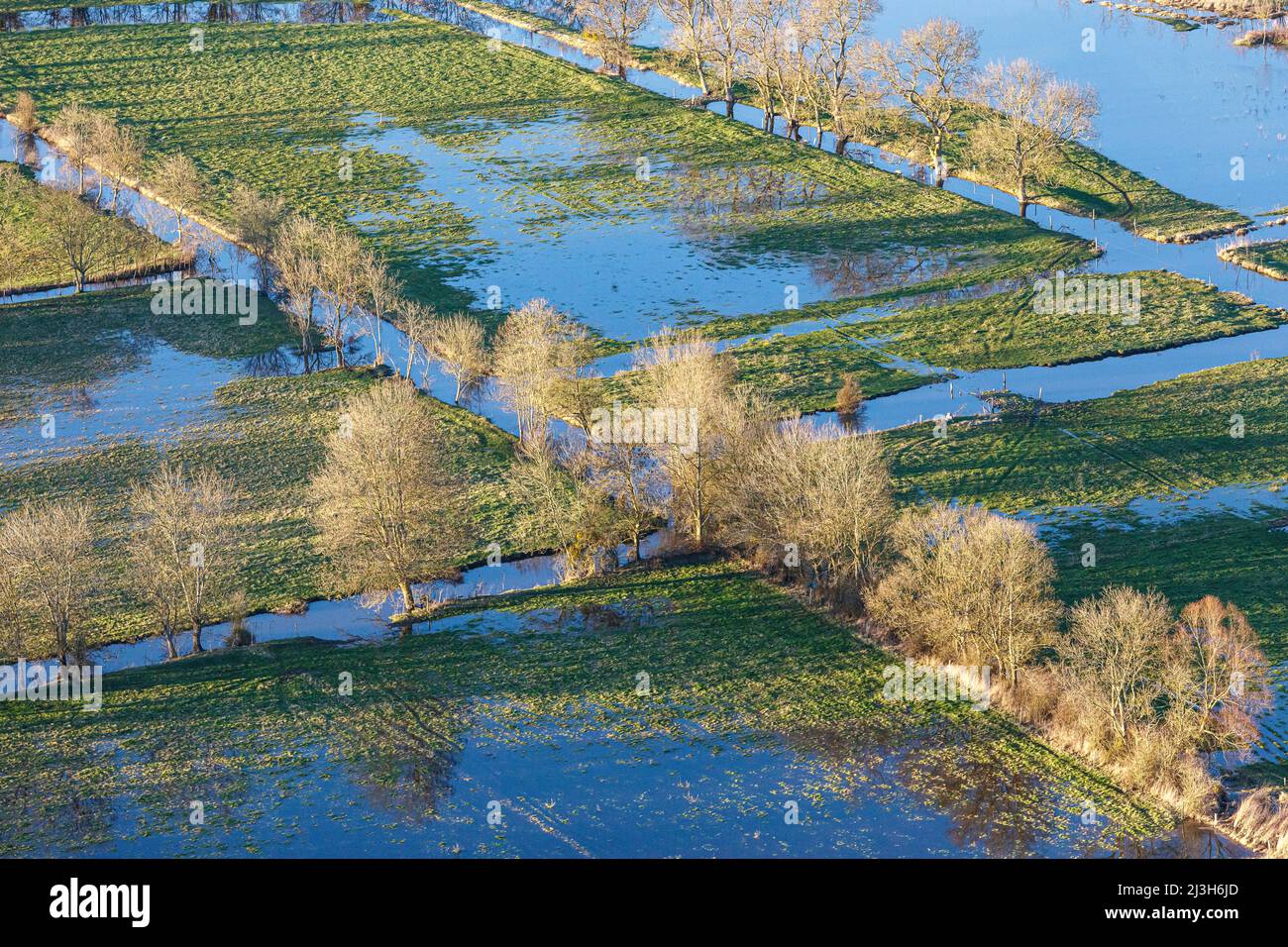 Francia, Vendee, la Bretonniere la Claye, alberi nei prati inondati dal fiume Lay (vista aerea) Foto Stock