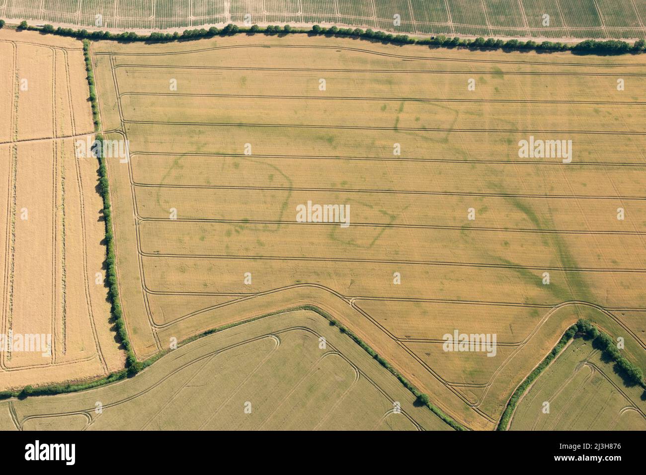 Segni di coltura di recinzione preistorica o romana rettilinea e curvilinea vicino a Wistow, Cambridgeshire, 2015. Foto Stock