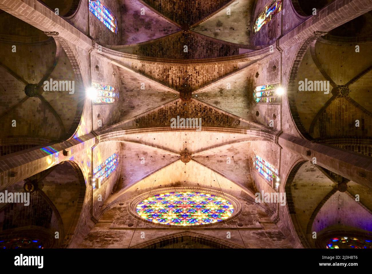 Spagna, Isole Baleari, Maiorca, Palma di Maiorca, interno della Cattedrale di Santa Maria de Palma costruita tra il 1229 e il 1601 e in stile gotico catalano, chiamato anche la Seu, la volta e il rosone Foto Stock
