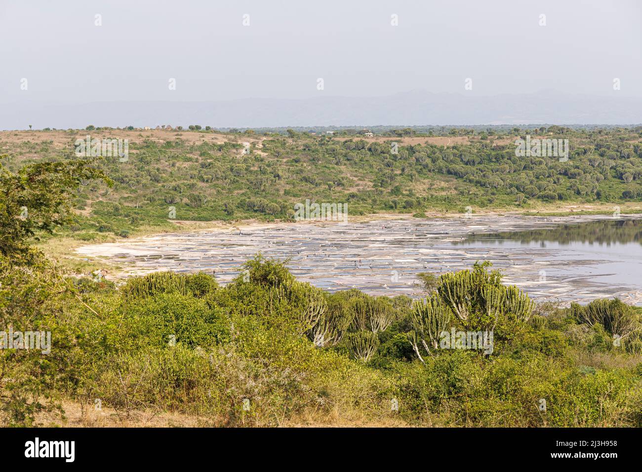 Uganda, distretto Kasese, Kasenyi, lago cratere Bunyampaka Foto Stock