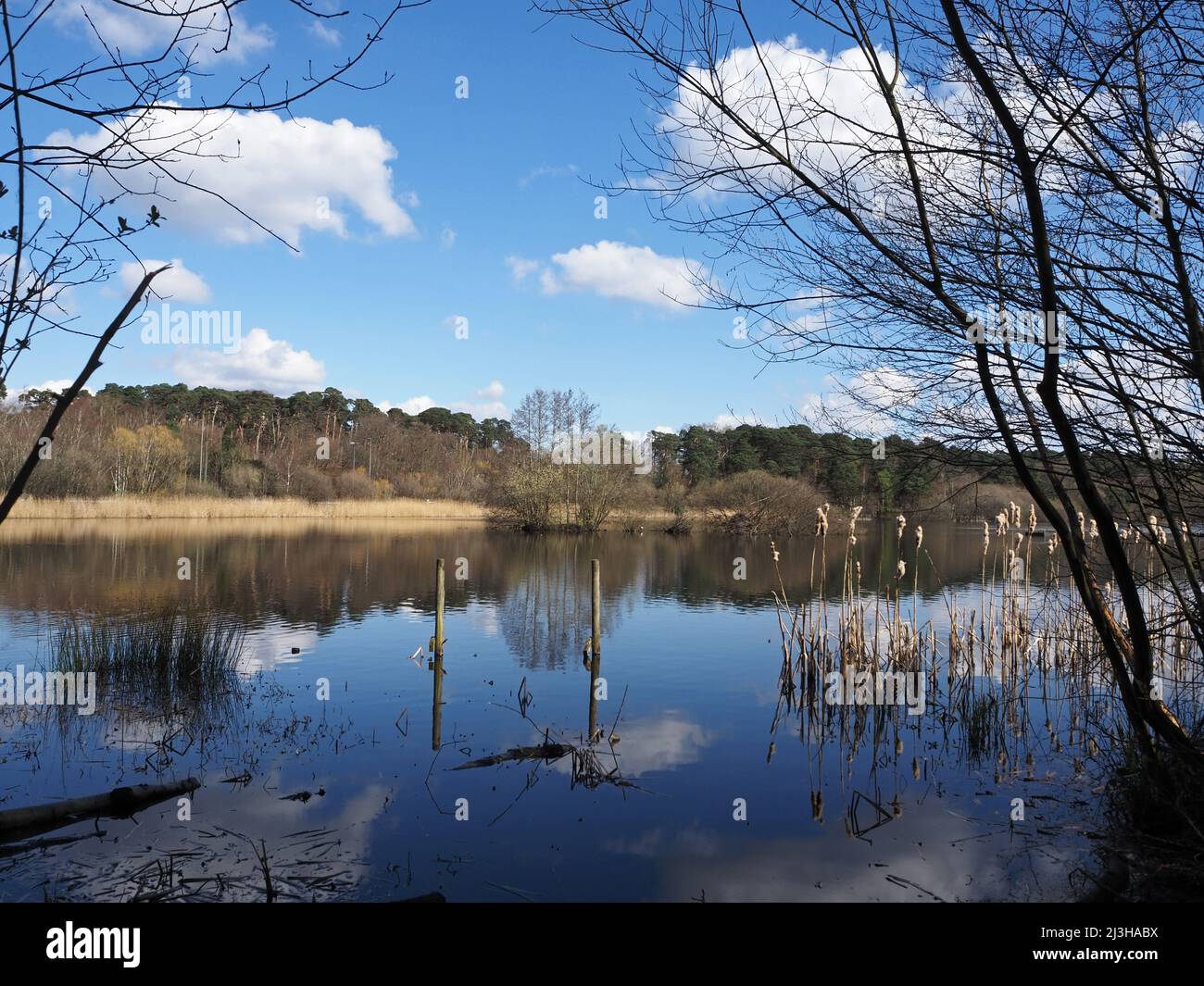 Lago Boldermere a Wisley e Ockham Common, Chatley Heath, Surrey, Regno Unito. Foto Stock