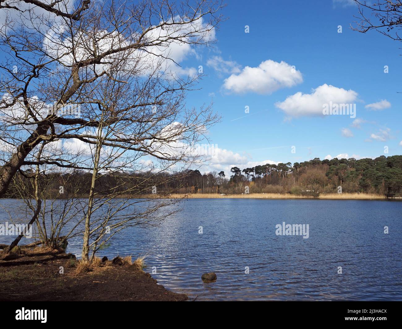 Lago Boldermere a Wisley e Ockham Common, Chatley Heath, Surrey, Regno Unito. Foto Stock