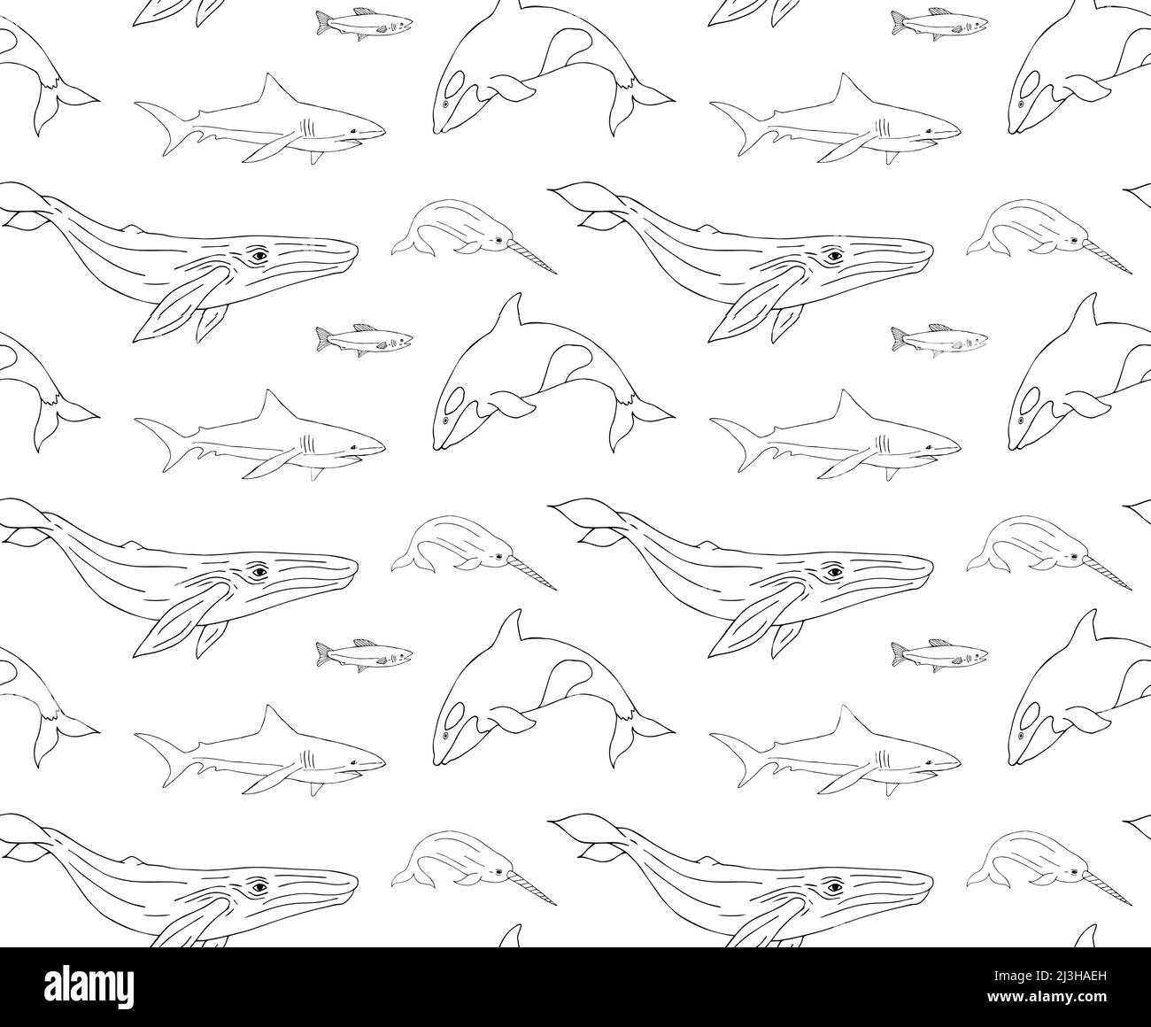Vettoriale modello senza giunture di scarabocchio disegnato a mano pesca balene e squali isolati su sfondo bianco Illustrazione Vettoriale