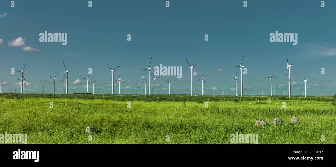 Wind farm sulla costa del Mar Nero in Bulgaria Foto Stock