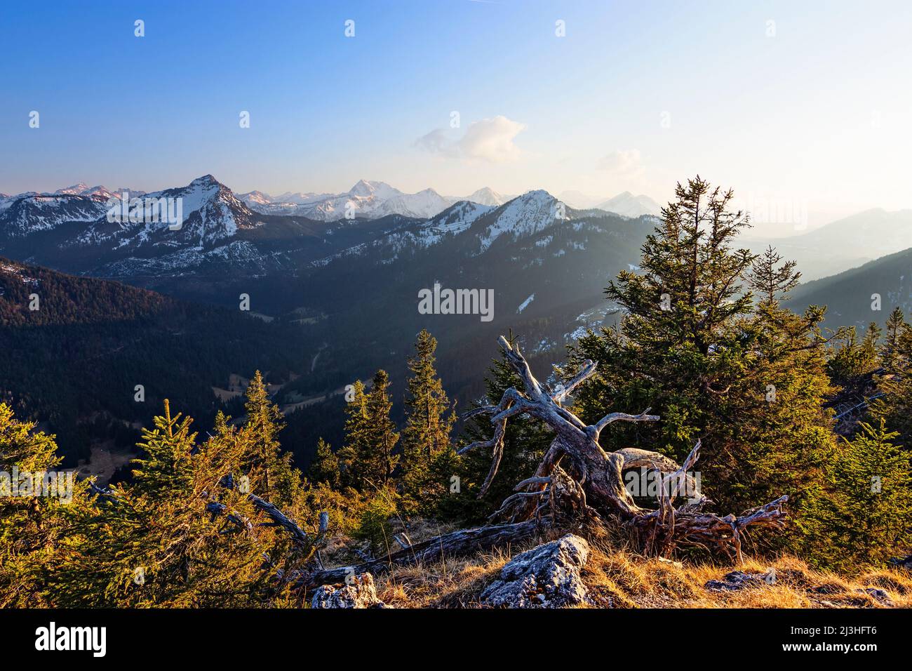 Paesaggio montano idilliaco al tramonto con foreste e montagne innevate, Kienberg, Alpi Allgäu, Baviera, Germania, Europa Foto Stock