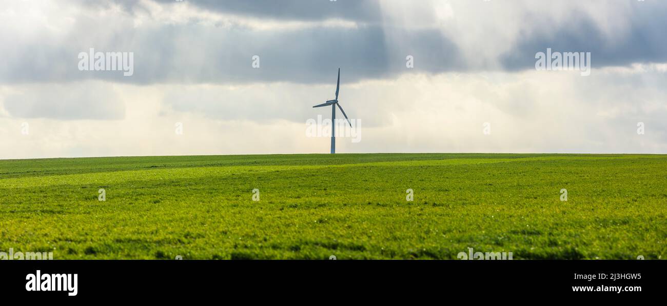 Turbina eolica singola su un campo verde Foto Stock