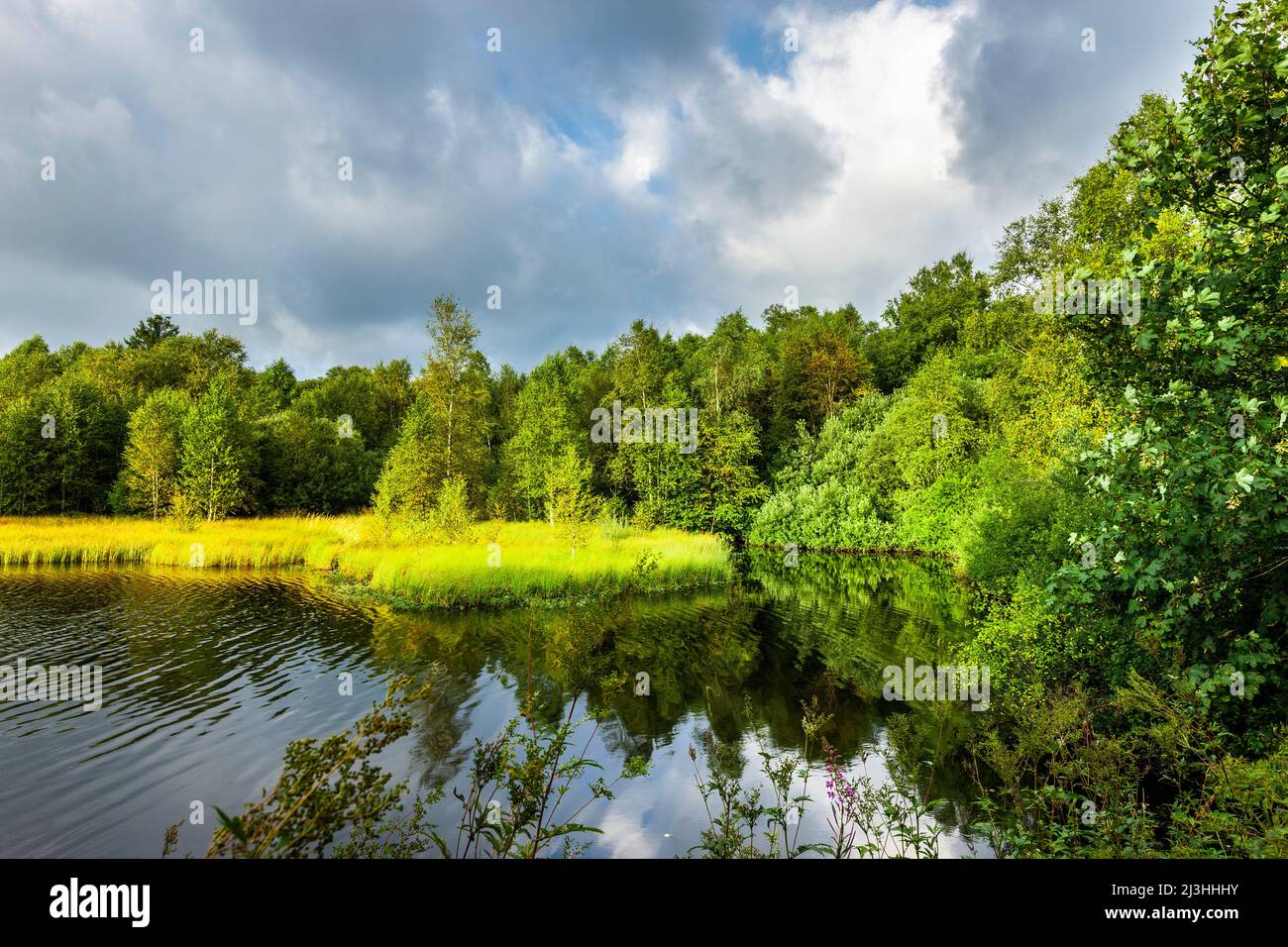 Lago di Moor nel Red Moor nei Rhoen Mountains Hessian Foto Stock