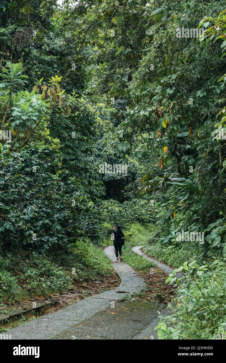 latina ragazza nel mezzo della giungla colombiana camminando lungo un sentiero osservando la natura e circondato da molte specie di piante Foto Stock