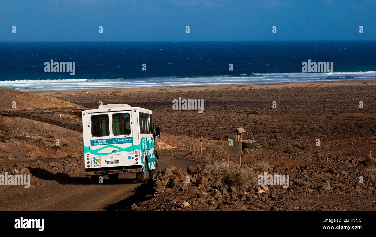 Spagna, Isole Canarie, Fuerteventura, punta sud-occidentale, paesaggio arido, mini bus fuoristrada sul pendio in paesaggio lavico, mare con surf sullo sfondo, mare, blu scuro, blu cielo Foto Stock