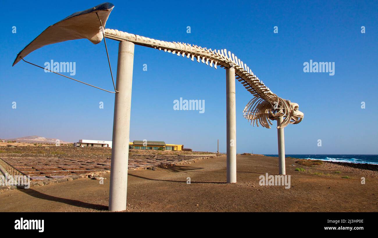 Spagna, Isole Canarie, Fuerteventura, costa orientale, Salinas de el Carmen, scheletro di balene su pilastri in cemento dietro il museo, azzurro cielo Foto Stock