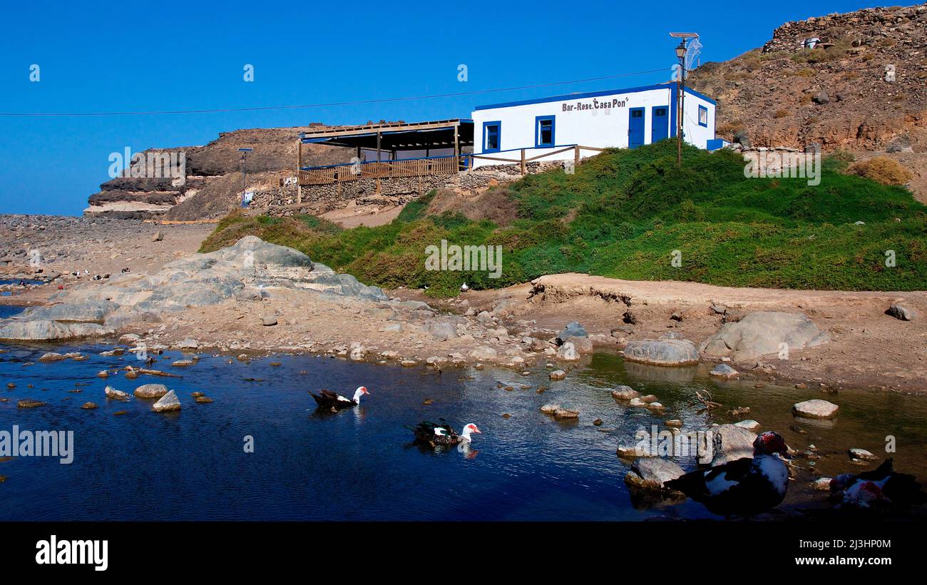 Spagna, Isole Canarie, Fuerteventura, costa occidentale, El Puertito de los Molinos, piccolo Küsetnortschaft, vista di un ruscello, il mare scorre e su di esso anatre, dietro di essa verde collina, su di esso la Casa Pon, edificio bianco-blu piano Foto Stock