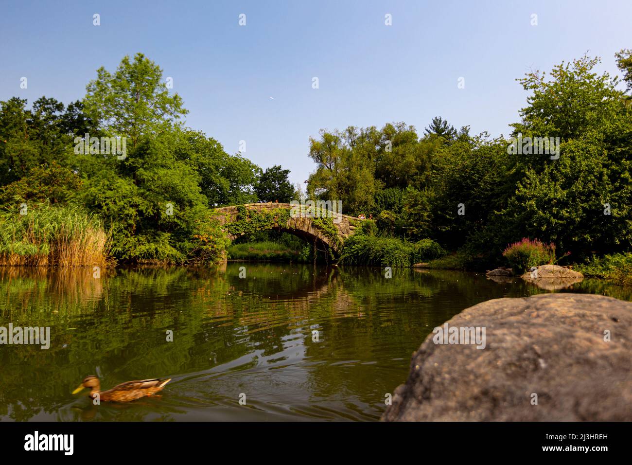 Gapstow Bridge, New York City, NY, USA, The Stone Bridge Gapstow Bridge è una delle icone di Central Park Foto Stock