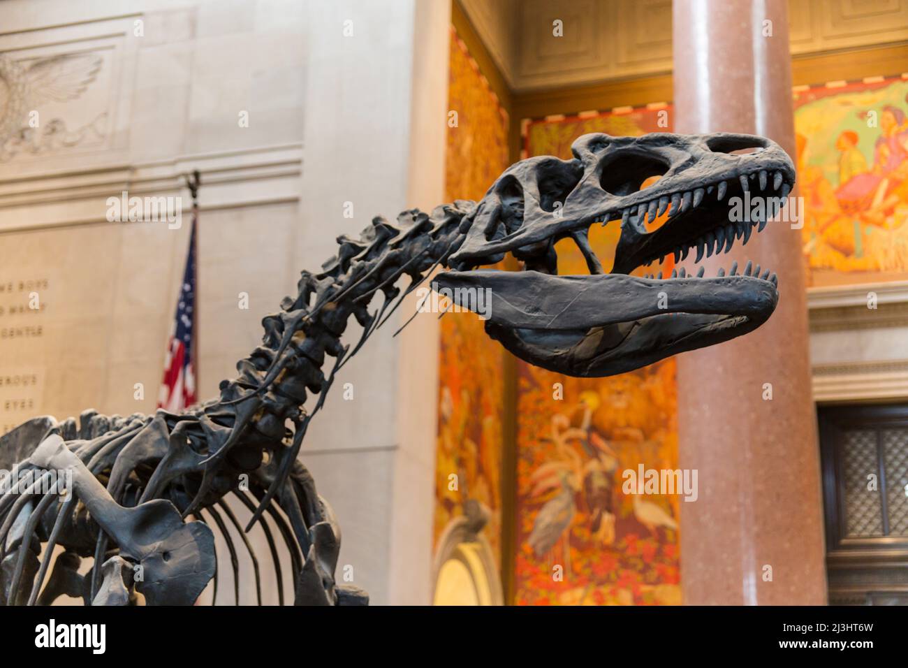 81 STREET - MUSEUM OF NATURAL HISTORY, New York City, NY, USA, location delle riprese per "Night at the Museum" Foto Stock
