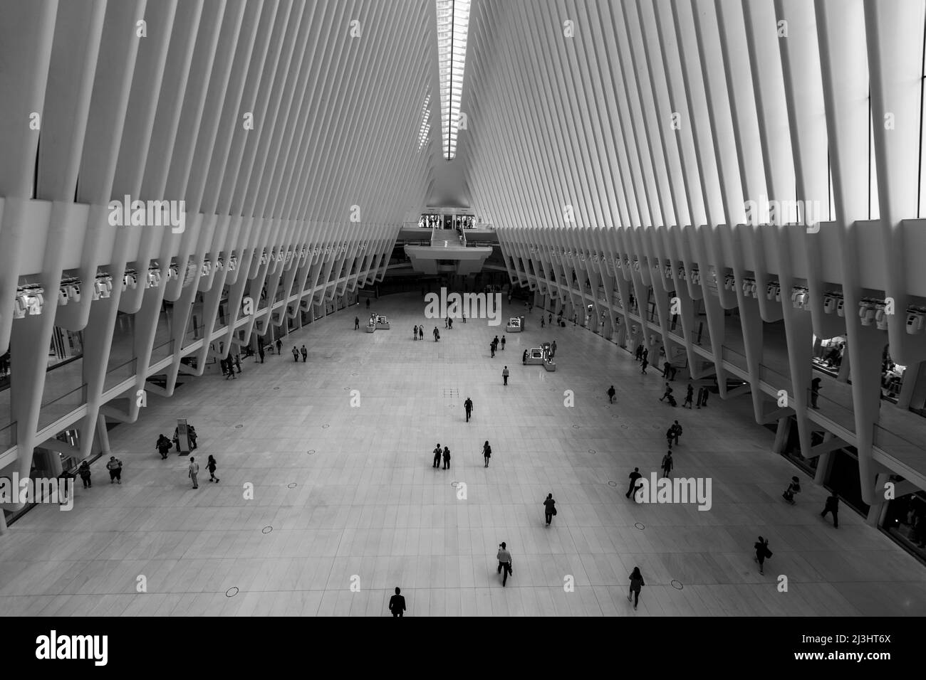 World Trade Center, New York City, NY, USA, World Trade Center Transportation Hub o Oculus progettato dall'architetto Santiago Calatrava nel quartiere finanziario Foto Stock