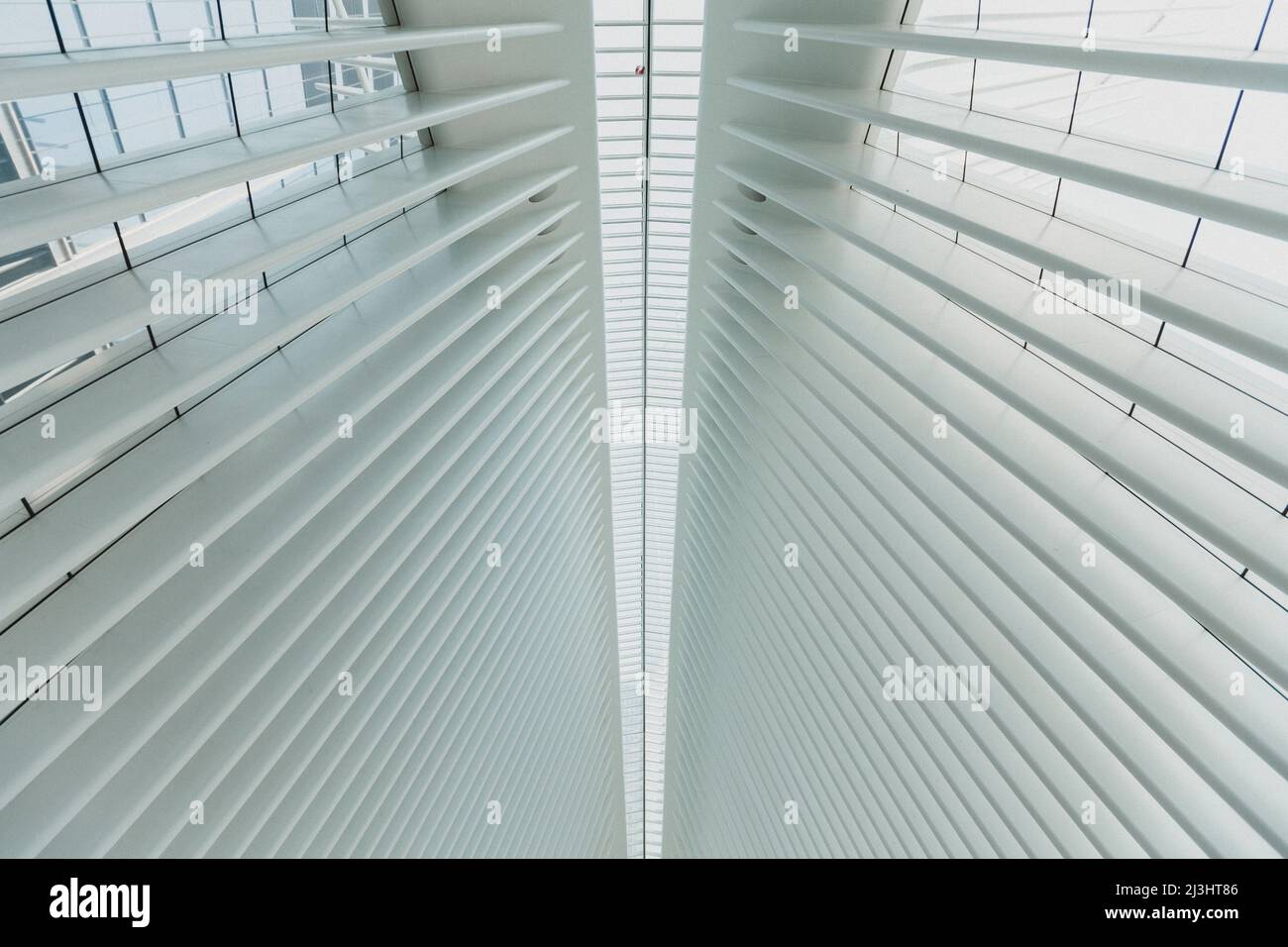 World Trade Center, New York City, NY, USA, World Trade Center Transportation Hub o Oculus progettato dall'architetto Santiago Calatrava nel quartiere finanziario Foto Stock